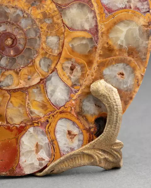 Paire d’ammonites fossiles montées bronze vers 1820-1840